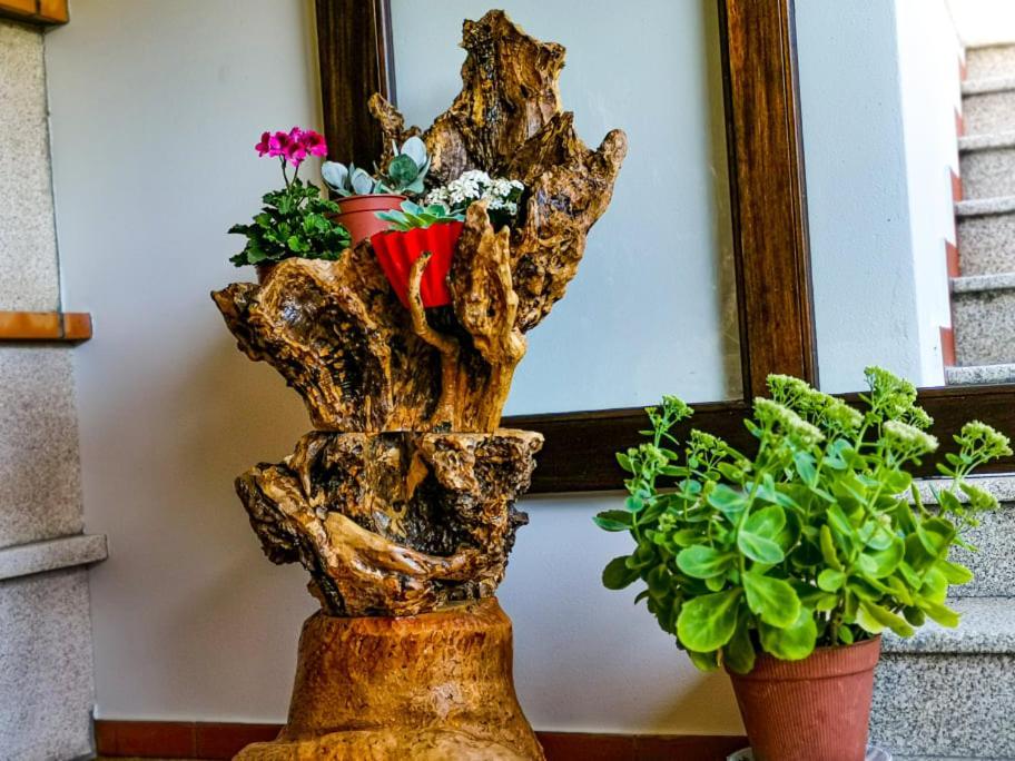 Pensjonat Casa Carolina Vila Seca  Zewnętrze zdjęcie